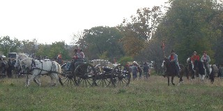 Horse drawn artillery ready for the field